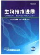 降解有机物的论文怎么发表