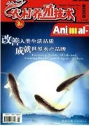 胡蜂科昆虫养殖技术发展