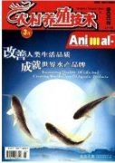 肉兔养殖技术实施策略