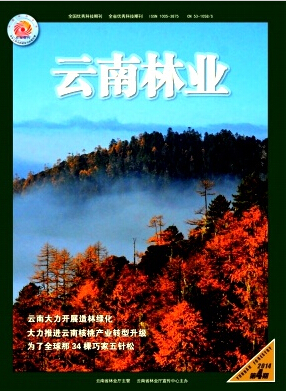 云南林业优秀杂志社期刊加急发文章