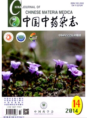 中国中药杂志北大核心期刊