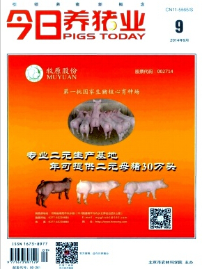 今日养猪业杂志文章得多久见刊