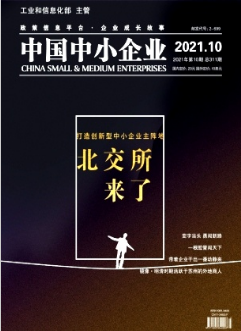 互联网下林业企业会计信息化策略探析