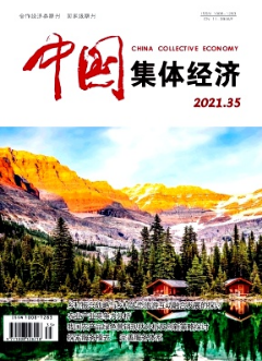 新形式下信用卡业务风险管理探究