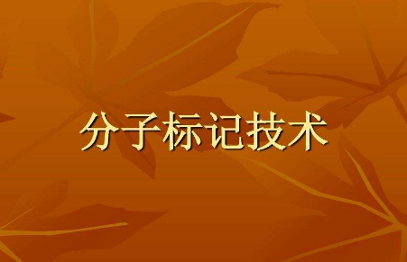 常用分子标记在植物科学研究中的应用