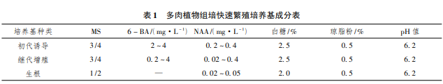 多肉植物的快速繁殖研究