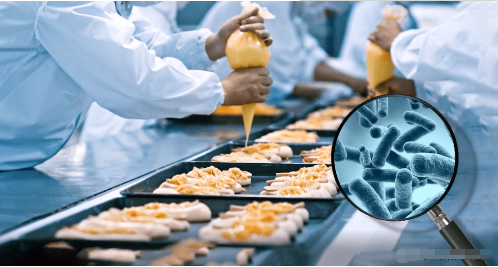 食品加工过程中致病菌控制的关键科学问题