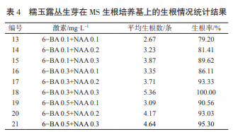 十二卷属花卉糯玉露组培体系建立试验初报