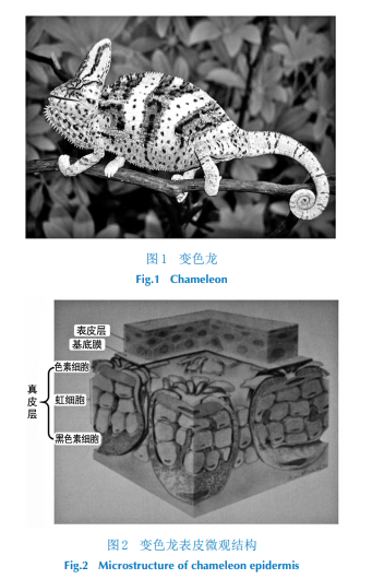 变色龙仿生材料的研究进展