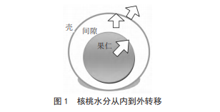 不同农作物烘干工艺对比