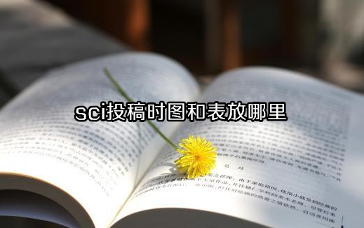 sci发表时图和表放哪里