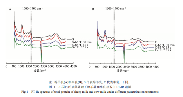 不同巴氏杀菌处理对绵羊乳总蛋白及乳清蛋白二级结构的影响