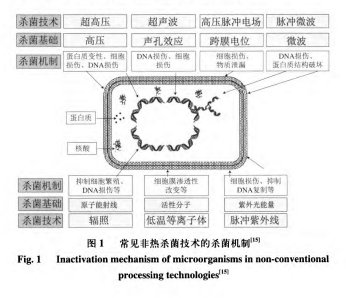 非热杀菌技术在低温鸡肉制品致病菌控制中的应用研究进展