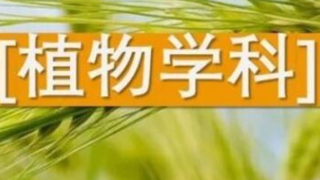 植物学sci二区期刊