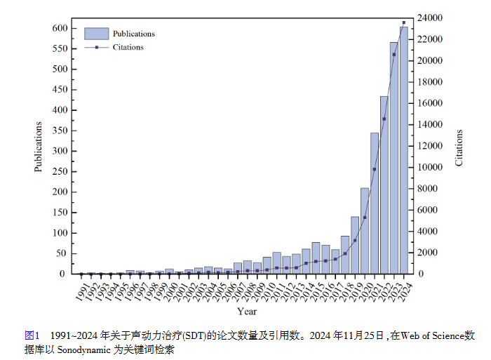 关于声动力治疗(SDT)的论文数量及引用数