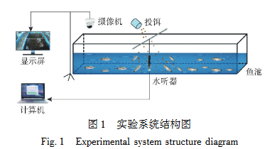 ʵ��ϵͳ�ṹͼ