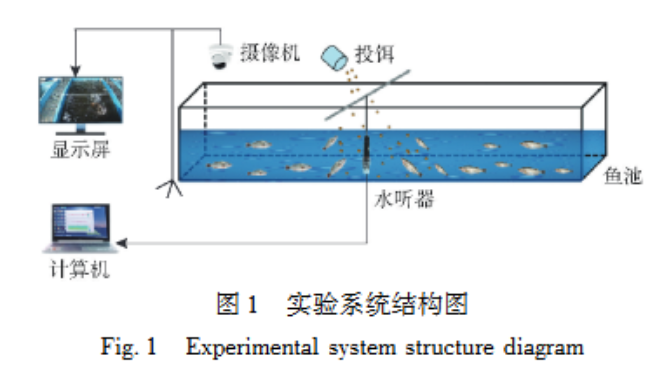 基于音视频信息融合与Self-Attention-DSC-CNN6网络的鲈鱼摄食强度分类方法