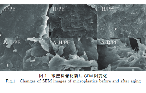 微塑料老化前后 SEM 图变化