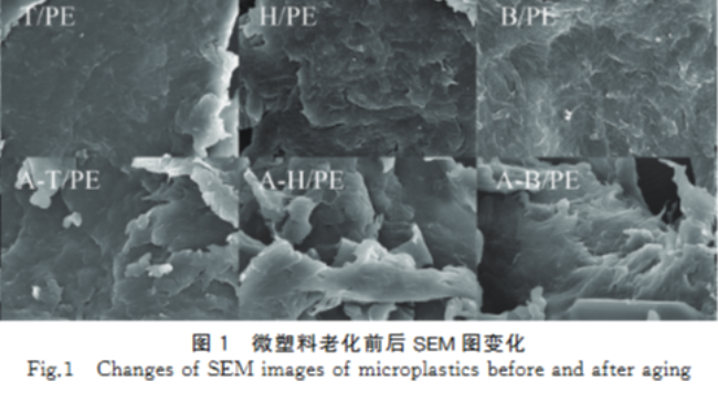 陈天晟团队在《环境污染与防治》发表光稳定剂与微塑料紫外老化关系研究论文