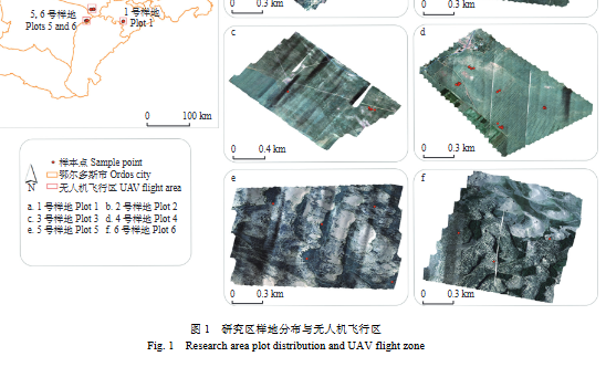 基于无人机的柠条锦鸡儿生物量遥感估测