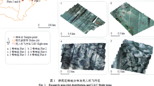 基于无人机的柠条锦鸡儿生物量遥感估测