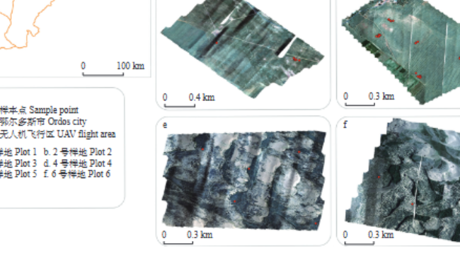 吴家敏团队在《林业科学》发表无人机遥感在锦鸡儿生物应用论文