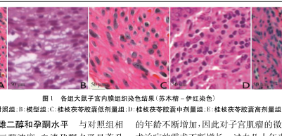 ��������ӹ���Ĥ��֯Ⱦɫ���