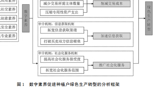数字素养促进种植户绿色生产转型的分析框架