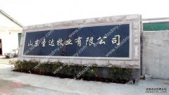 纯种肉牛多少钱？农业