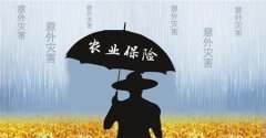 核心期刊论文发表浅谈河北农业的保险问题