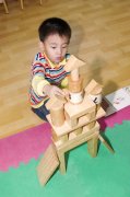 教育论文《大学教育科学》幼儿园教育活动的评价