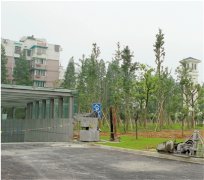 园林工程项目管理论文浅析杭州公园绿地植物造景
