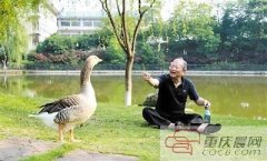 高校校园神兽排行榜出炉：北大学术猫居首(组图2015年3月25日西北政法大学论文