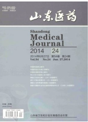 《山东医药》期刊杂志怎么样？