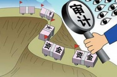 哪个审计期刊能够快速发表论文