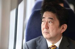 安倍身体欠佳或让位：没想到继任者会是他政法类论文