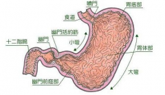 期刊论文发表慢性萎缩性胃炎