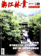 核心期刊论文发表网浅析林业资源防火管理