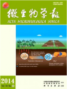 化学与环境论文化学物质对城市生态环境的影响