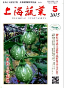 中国果菜论文发表发展家庭美化休闲蔬菜
