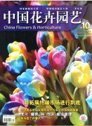花卉园林论文压花艺术的制作工艺