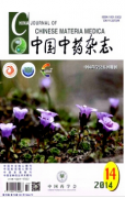 中医论文发表八桂中医学术流派