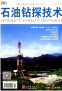 工业论文发表期刊石油化工装置工艺管线