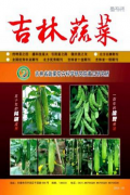 吉林蔬菜发表蔬菜农药残留问题