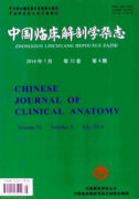 刊登快的医学杂志术前留置导尿时机
