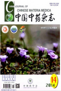 中医优秀核心论文中药也能治肝病