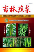 吉林蔬菜范文有机蔬菜栽培
