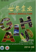滨海盐土绿化的排盐改土技术