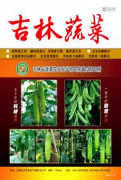 嫁接对茄子栽培的研究