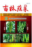 嫁接对茄子栽培研究